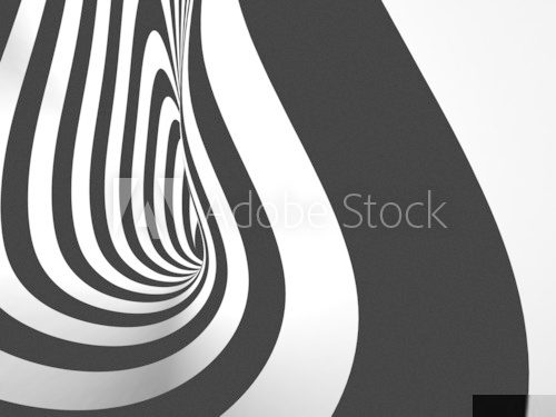 Black and White Stripes Projection on Torus.  Czarno Białe Obraz
