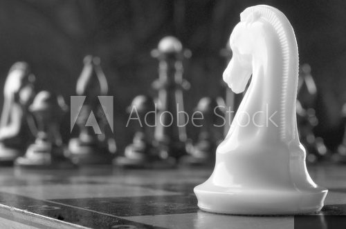 white knight chess piece  Czarno Białe Obraz