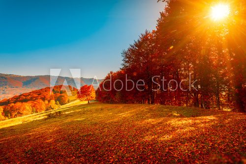 Colorful autumn landscape  Krajobrazy Obraz