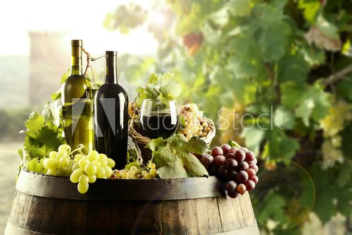 Wine with cask and vineyard  Obrazy do Jadalni Obraz