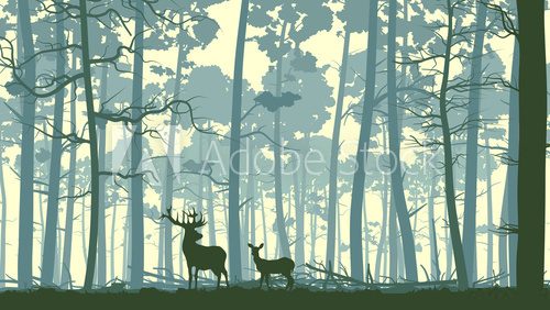 Abstract illustration of wild animals in wood.  Styl skandynawski Fototapeta