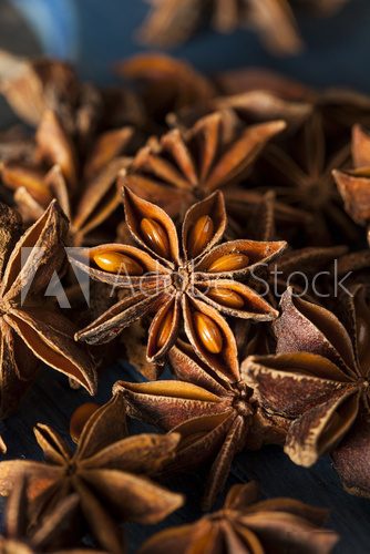 Organic Dry Star of Anise  Obrazy do Kuchni  Obraz