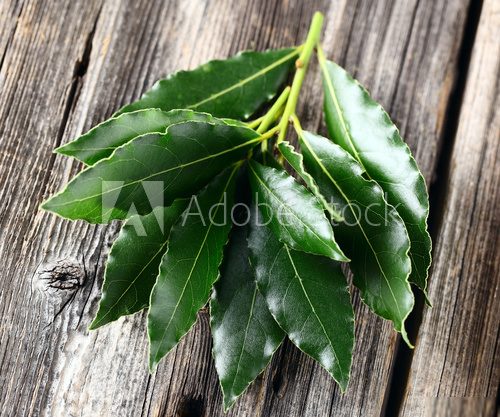 Laurel leaves on a wooden background  Obrazy do Kuchni  Obraz