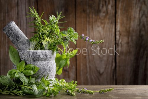 herbs in mortar  Obrazy do Kuchni  Obraz