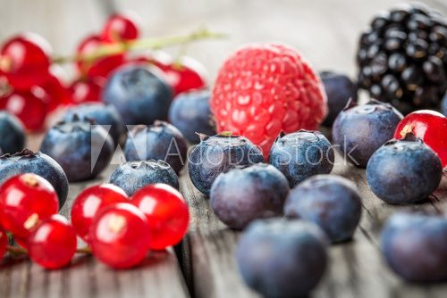 Blueberries background  Obrazy do Kuchni  Obraz