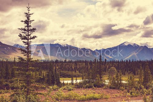Twoja mała własna Alaska Fototapety Góry Fototapeta