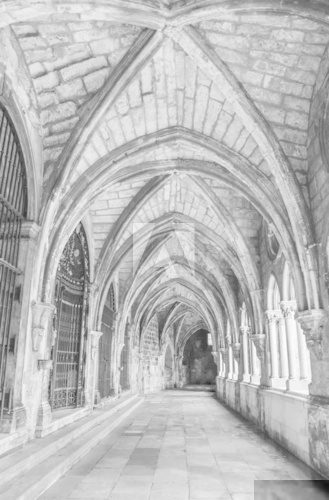 Ancient gothic cloister in black and white  Fototapety Czarno-Białe Fototapeta