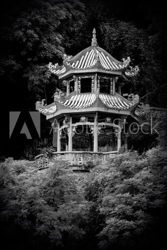 Chinese pagoda  Fototapety Czarno-Białe Fototapeta