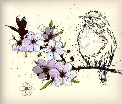 little bird and blooming branch  Rysunki kwiatów Fototapeta