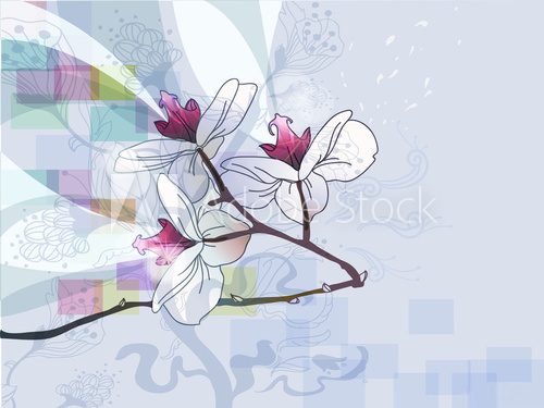 floral background with   blooming  orchids  Rysunki kwiatów Fototapeta