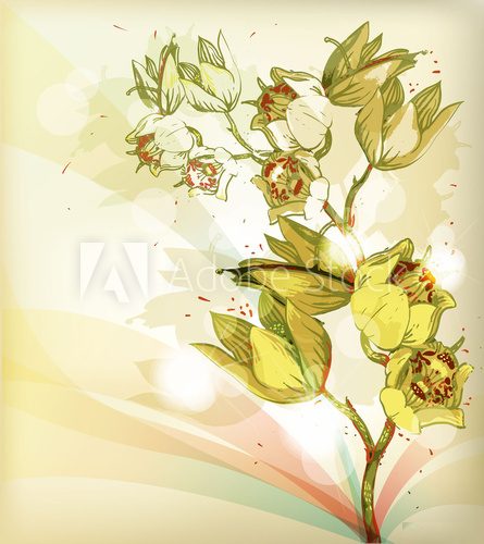 floral vector  background with shining blooming orchids  Rysunki kwiatów Fototapeta