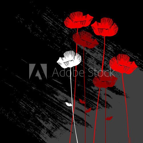 floral background, poppy with a space for your text  Rysunki kwiatów Fototapeta