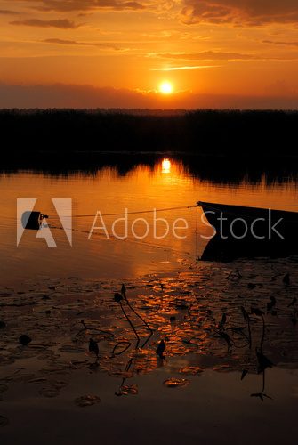 river bank sunset  Zachód Słońca Fototapeta