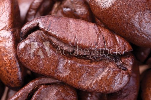 One brown grains of coffee close to the blurry background of cof  Kawa Fototapeta