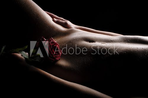 Nackter Bauch mit Rose  Erotyka Obraz