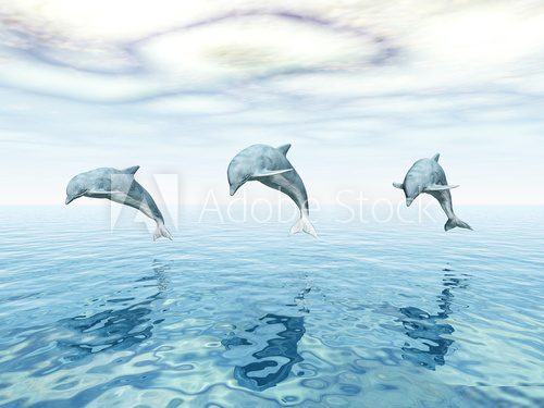 Jumping Dolphins - Springende Delfine  Zwierzęta Obraz