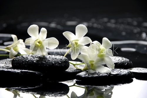Zen stones and white orchids with reflection  Obrazy do Salonu SPA Obraz