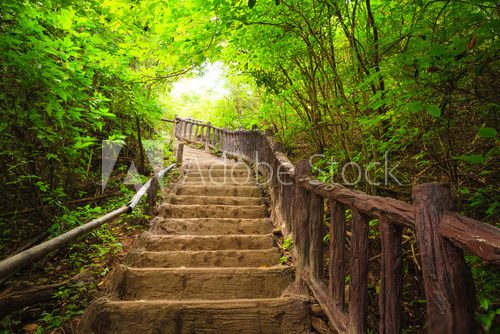 Stairway to forest, Kanchanburi,Thailand  Las Fototapeta
