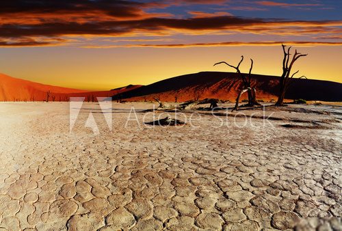 Afrykańska susza – gorąca refleksja
 Krajobrazy Obraz