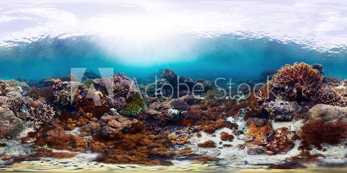 Jawa pod wodą. Świat ryb. Rafa koralowa Fototapeta