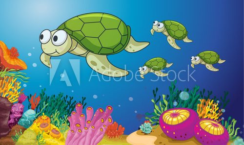 Morskie żółwie  Fototapety do Pokoju Dziecka Fototapeta
