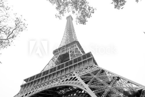 Paris Eiffel Tower Fototapety Wieża Eiffla Fototapeta