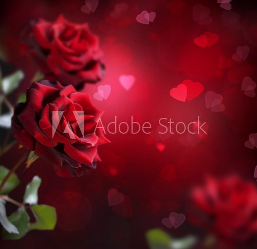 Walentynkowe róże – kwiaty dla zakochanych Kwiaty Fototapeta