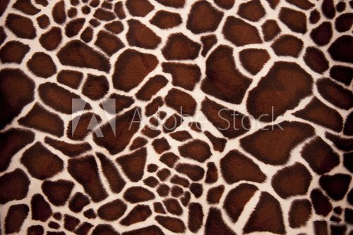 Żyrafa z bardzo bliska – zoom na cętki
 Tekstury Fototapeta