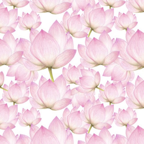 kwiatów lotosu Tapety Do przedpokoju Tapeta