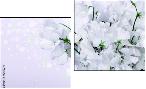Beautiful Lily Flowers Border - Obraz dwuczęściowy, Dyptyk