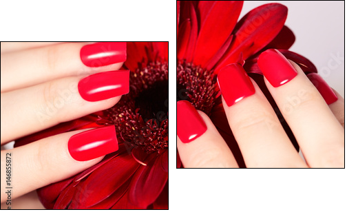 Beauty hands with red fashion manicure and bright flower. Beautiful manicured red polish on nails - Obraz dwuczęściowy, Dyptyk
