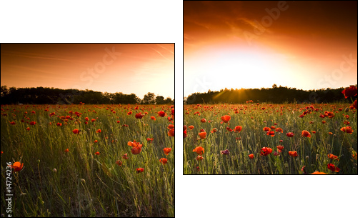 Makowe pole – łąka o zachodzie słońca
 - Obraz dwuczęściowy, Dyptyk