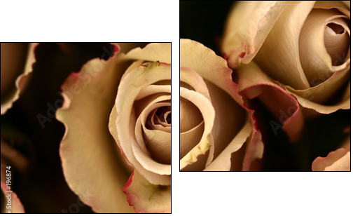 Zoom na kwiaty – różane zbliżenie
 - Obraz dwuczęściowy, Dyptyk