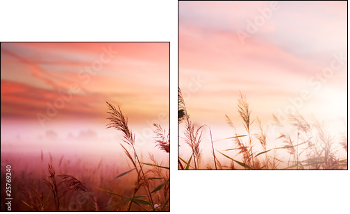 Poranek – sielskie pole we mgle
 - Obraz dwuczęściowy, Dyptyk