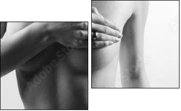 female black and white  - Obraz dwuczęściowy, Dyptyk