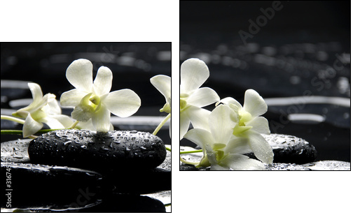 Zen stones and white orchids with reflection  - Obraz dwuczęściowy, Dyptyk