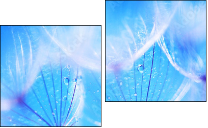 Niebieski dmuchawiec – ulotność natury
 - Obraz dwuczęściowy, Dyptyk