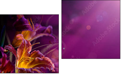abstract floral background.With copy-space  - Obraz dwuczęściowy, Dyptyk