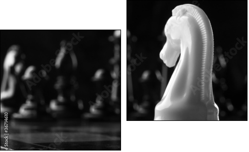 white knight chess piece  - Obraz dwuczęściowy, Dyptyk