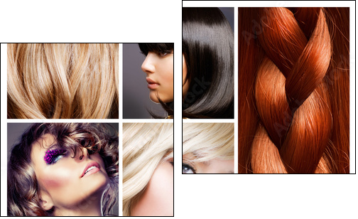 Hair Collage. Hairstyles  - Obraz dwuczęściowy, Dyptyk