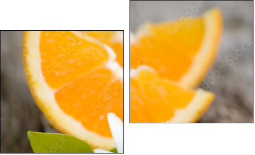OrangenblÃ¼te  - Obraz dwuczęściowy, Dyptyk