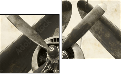 Oko w oko z retro samolotem
 - Obraz dwuczęściowy, Dyptyk