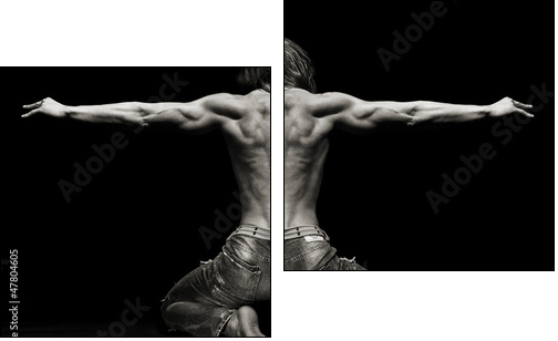 Muskularna sylwetka  - Obraz dwuczęściowy, Dyptyk