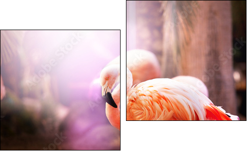 Flamingo  - Obraz dwuczęściowy, Dyptyk