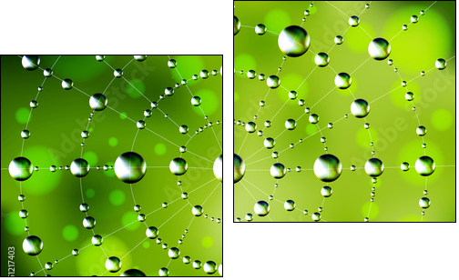 Abstract spider web with dew drops  - Obraz dwuczęściowy, Dyptyk