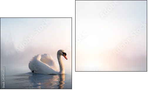 Art Swan floating on the water at sunrise of the day  - Obraz dwuczęściowy, Dyptyk
