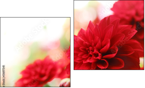 red dahlia flower  - Obraz dwuczęściowy, Dyptyk