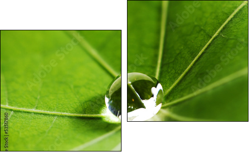 Water drop on green leaf  - Obraz dwuczęściowy, Dyptyk