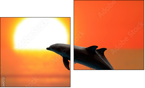 Dolphins at sunset  - Obraz dwuczęściowy, Dyptyk