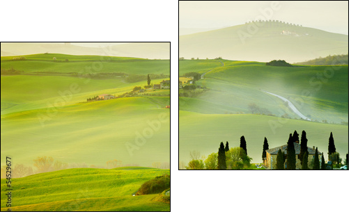 Countryside, San QuiricoÂ´Orcia , Tuscany, Italy  - Obraz dwuczęściowy, Dyptyk